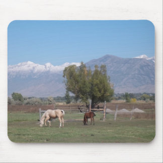 Mousepad Cavalos no pasto