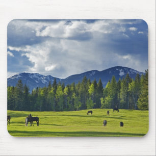 Mousepad Cavalos pastam em pasto perto de Whitefish,