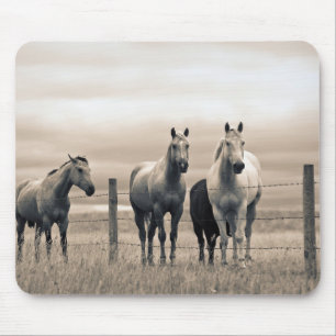 Mousepad Cavalos Quarto de Milha na Pradaria Canadense