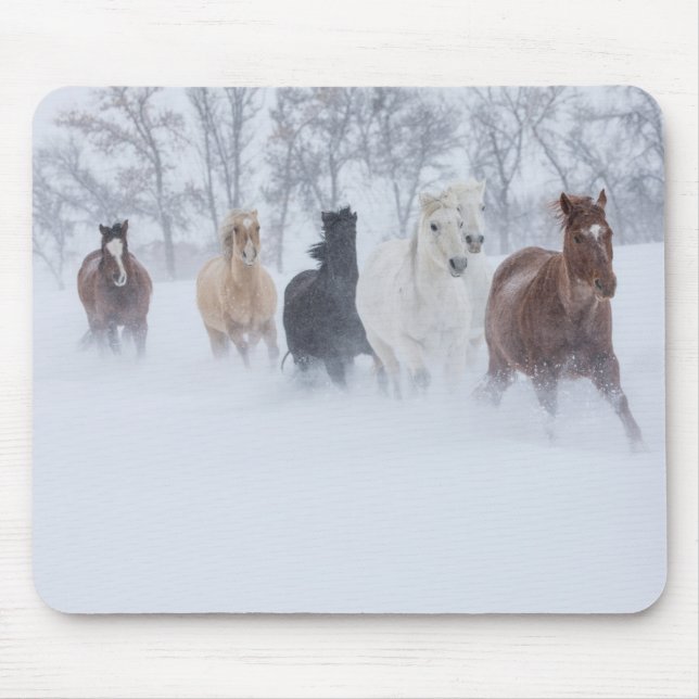 Mousepad Cavalos que Atravessam a neve (Frente)