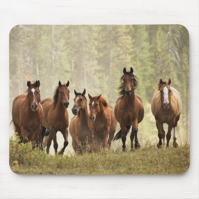 Mousepad Cavalos que criaram colina pequena durante o arred (Frente)