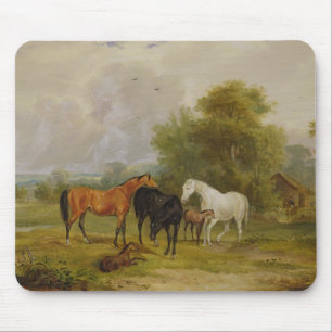 Mousepad Cavalos que pastam: Éguas e potros em um campo