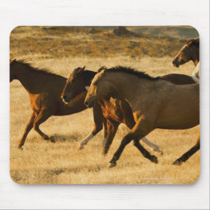Mousepad Cavalos selvagens