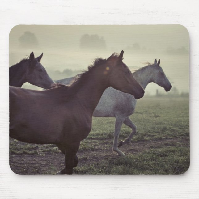 Mousepad Cavalos selvagens (Frente)