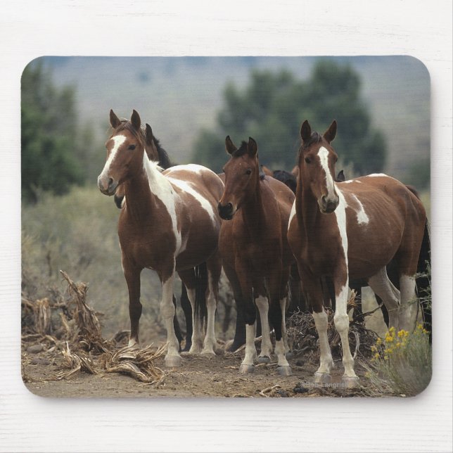 Mousepad Cavalos selvagens 7 do mustang (Frente)