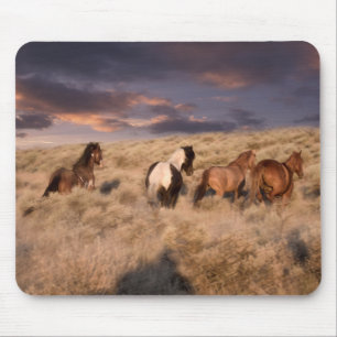 Mousepad Cavalos Selvagens Correndo