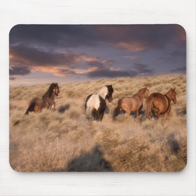 Mousepad Cavalos Selvagens Correndo (Frente)