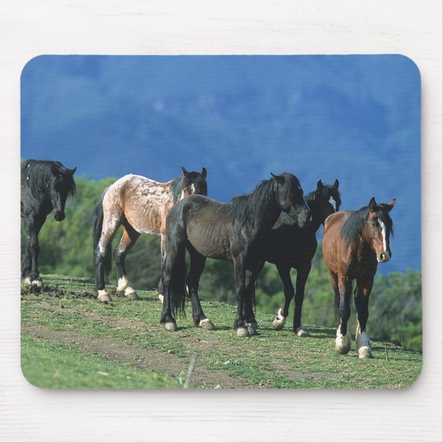 Mousepad Cavalos selvagens do mustang nas montanhas (Frente)