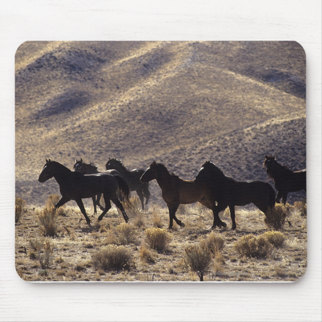 Mousepad Cavalos selvagens do mustang no deserto 1 (Frente)
