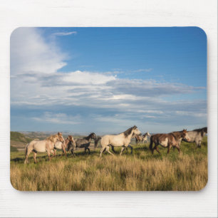 Mousepad Cavalos Selvagens no Parque Nacional Theodore Roos