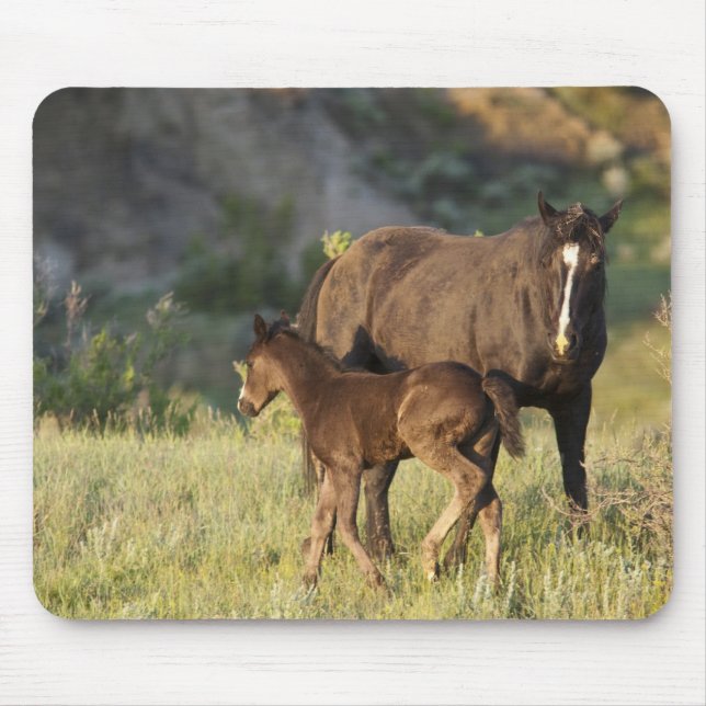 Mousepad Cavalos Selvagens no Theodore Roosevelt National P (Frente)
