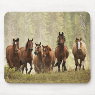 Mousepad Cavalos subindo uma pequena colina durante o arred