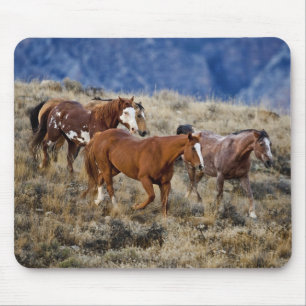 Mousepad Cavalos Vagando pelas Colinas