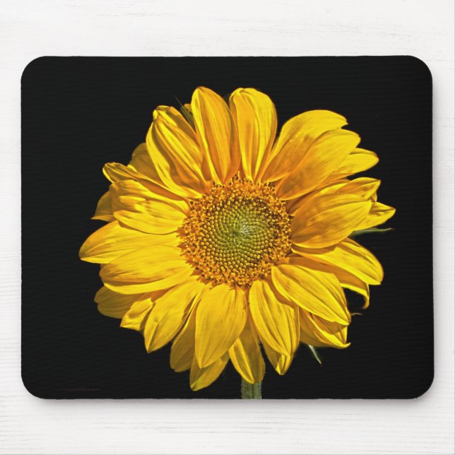 Mousepad Ccna de girassol (Frente)
