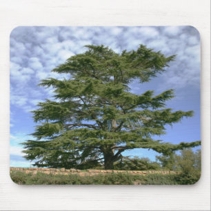 Mousepad Cedro de Líbano