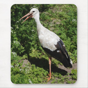 Mousepad cegonha