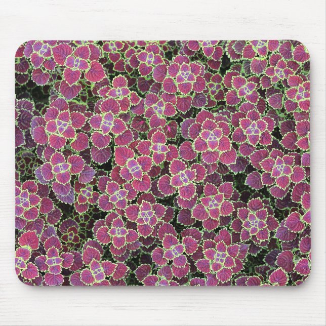 Mousepad celular (Frente)