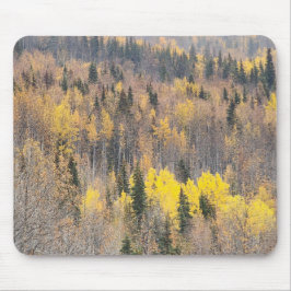 Mousepad Cena da Natureza com Folhas de Outono e Tons Quent