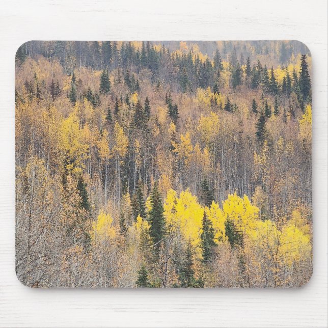 Mousepad Cena da Natureza com Folhas de Outono e Tons Quent (Frente)