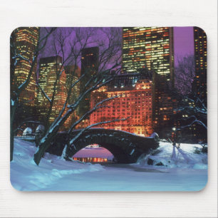 Mousepad Cena da neve no tapete do rato do Central Park