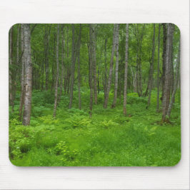 Mousepad Cena de paisagem de floresta verde exuberante