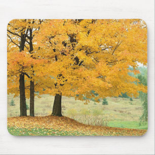 Mousepad Cena de queda