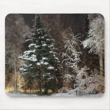 Cena Noturna de Floresta de Inverno Aconchegante