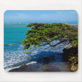 Mousepad Cena tropical