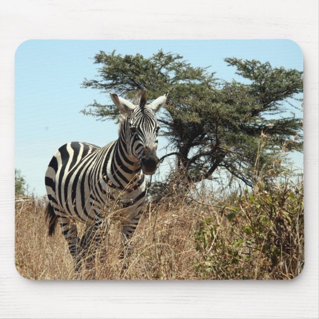 Mousepad cena zebra (Frente)
