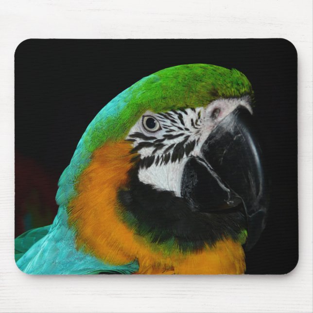 Mousepad Cenoura Verde Colorida (Frente)