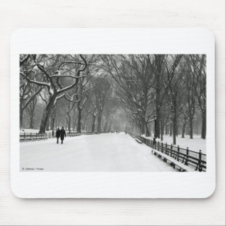 Mousepad Central Park