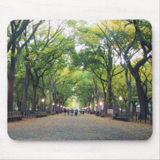 Mousepad - Central Park de NY