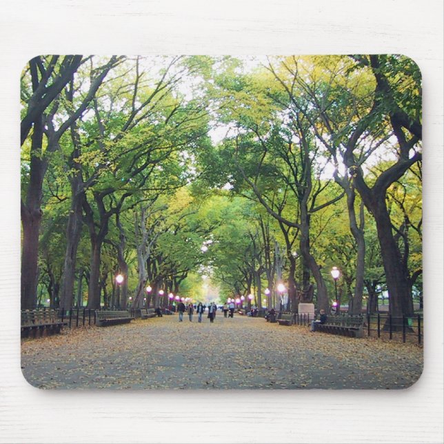 Mousepad - Central Park de NY (Frente)