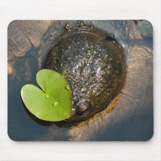 Mousepad Centralizado (Frente)