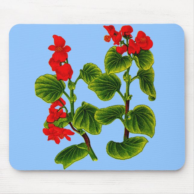 Mousepad cera begonia cera begônia impressão (Frente)