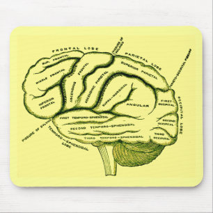 Mousepad Cérebro humano