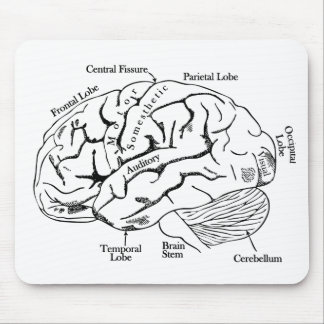 Mousepad Cérebro humano