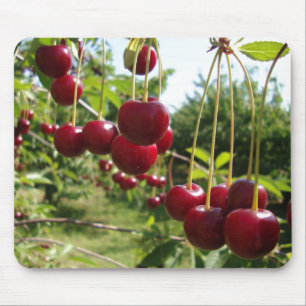 Mousepad Cerejas do verão