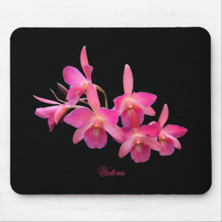 Mousepad Cerveja, Rosa Quente, Vermelho, Orquídeas - Placa 