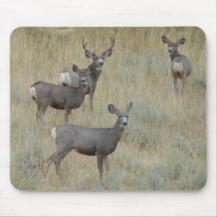 Mousepad Cervo-mula D18