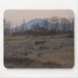 Mousepad Cervo Mulo D12 e Colinas de Grama Doce
