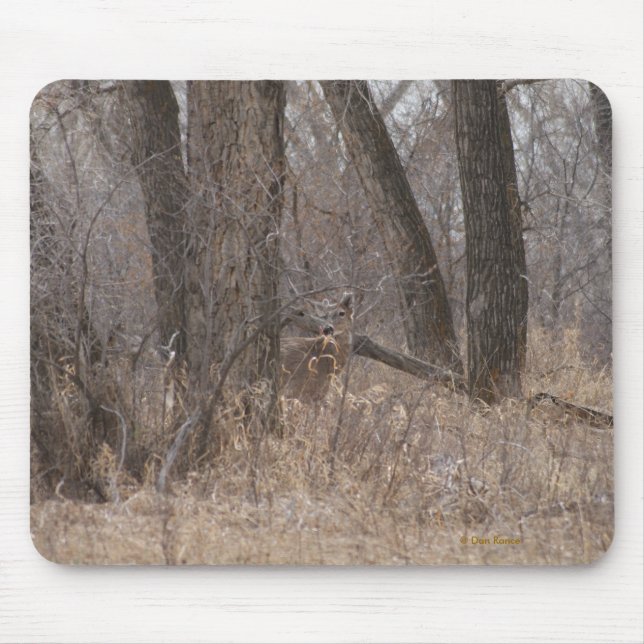 Mousepad Cervos D1 Brancos-taileded em árvores de Cottowood (Frente)