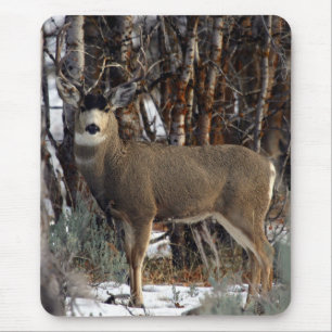 Mousepad Cervos de mula, wellsville