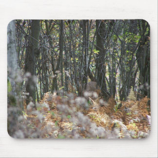 Mousepad Cervos em West Virginia