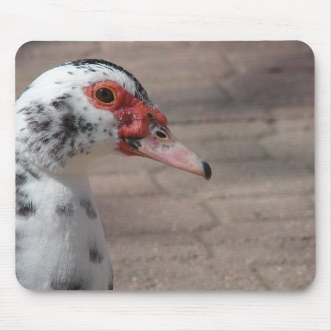 Mousepad Céu (Frente)