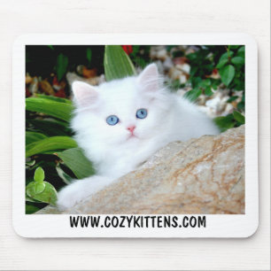Mousepad Céu acolhedor dos gatinhos na terra