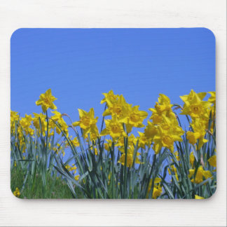 Mousepad Céu do Daffodil