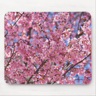 Mousepad Céu Rosa Flor de Cerejeira Sakura