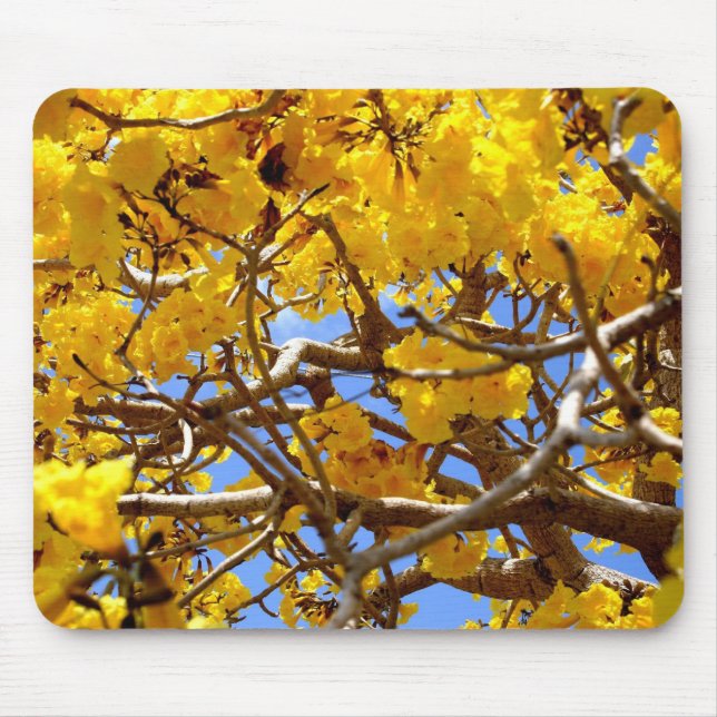 Mousepad Chá do ouro (Frente)