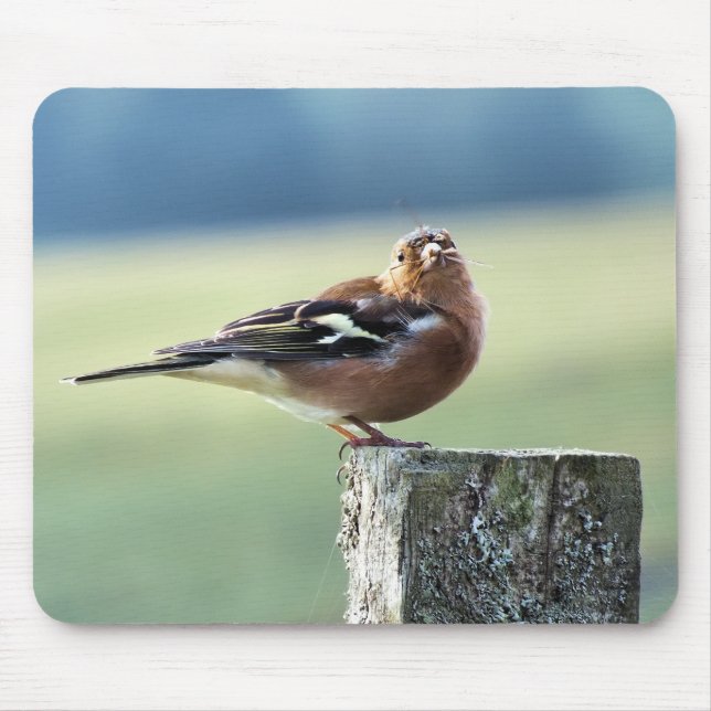 MOUSEPAD CHAFFINCH (Frente)